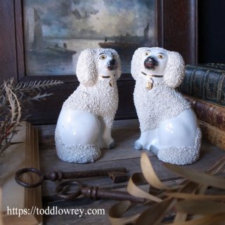 ͤ븤ڥǤɤ / Antique Staffordshire Poodle Dogs