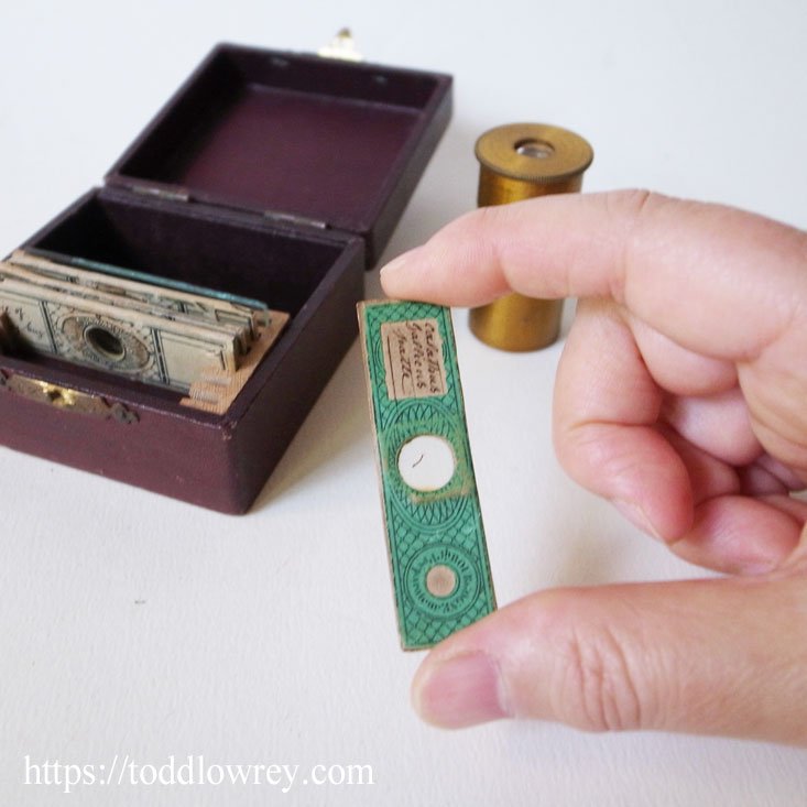 胸躍る発見はポケットから /Antique Cylinder Pocket Microscope with Box - Todd Lowrey  Antiques