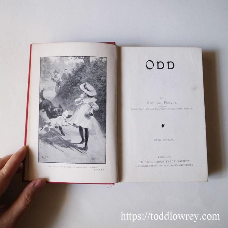 奇妙で可憐な赤い本 / Antique Book 奇妙で可憐な赤い本 / Antique Book