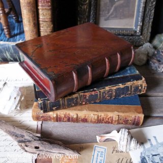 本棚の中の秘密 / Antique Book Style Money Bank