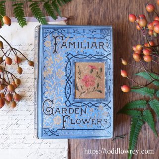 一輪の本 / Antique Victorian Book FAMILIAR GARDEN　FLOWERS