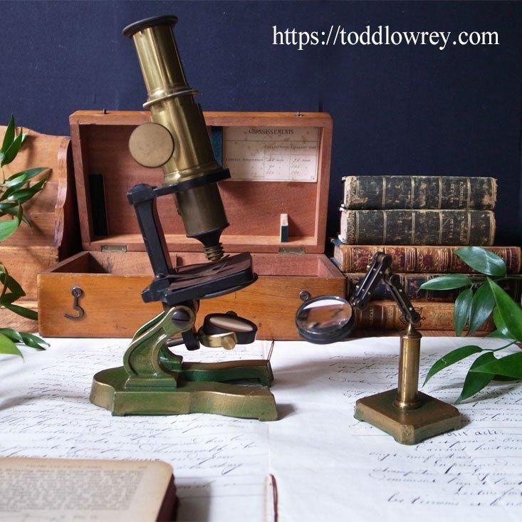 光を集め観察し考える / Antique Microscope & Matching 光を集め観察し考える / Antique Microscope & Matching