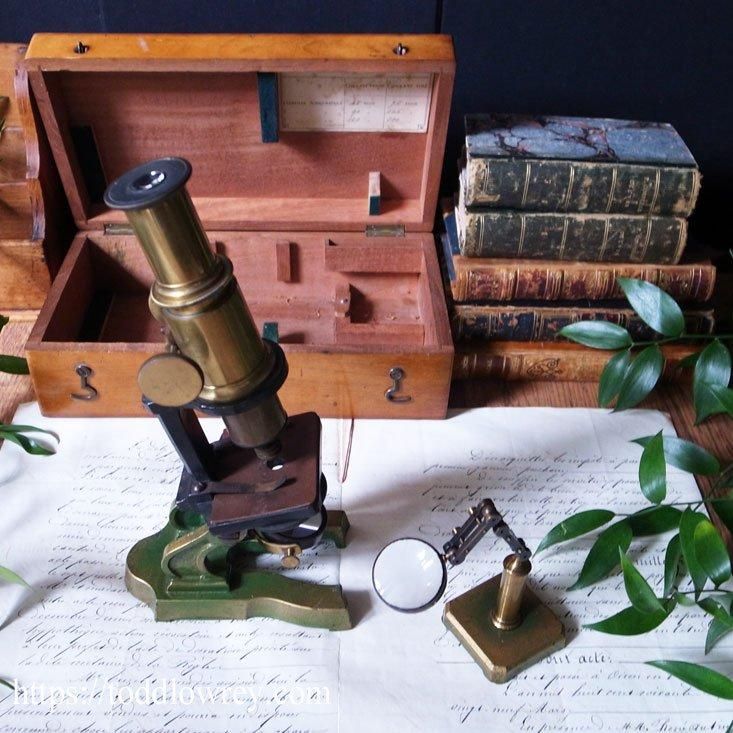 光を集め観察し考える / Antique Microscope & Matching