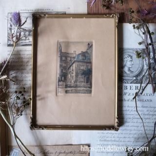 ̴γ / Hand Colored Steel Engraving with Guilt Frame