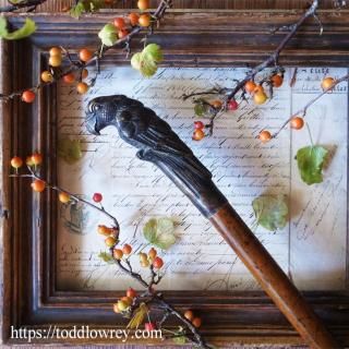 ڱĻȶ⤳ / Antique Walking Stick with Malacca Cane & Parrot Grip