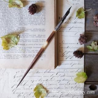 դȷڤݤۤɱԤ / Antique Porcupine Dip Pen with Perry & Co. Nib