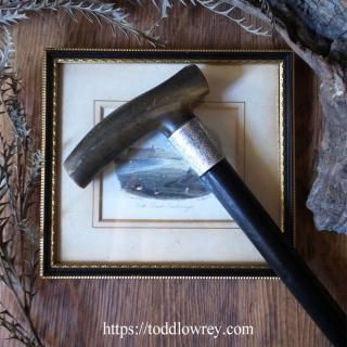 ǥοȳºɤȶ / Antique Walking Stick with Sterling Silver Collar & Horn Grip