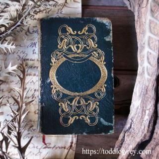 ͥɤ४Сɥߥ/ Antique Book 
