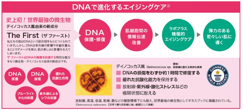 DNA エイジングケア
