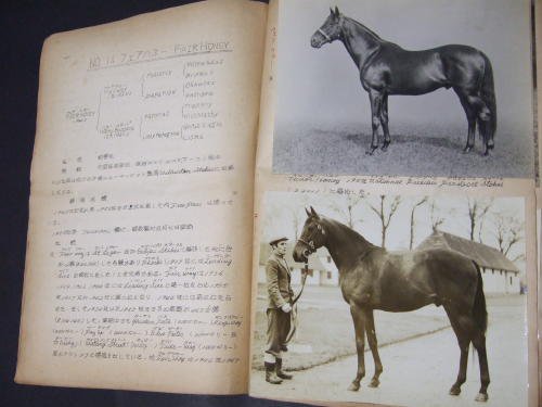 輸入サラブレッド種馬名簿 - 《蓑虫屋》 競馬専門古書店