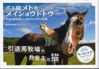 【中古】 牧場から見た強い馬/つちや書店/岩尾マニエル 中古】 牧場から見た強い馬/つちや書店/岩尾マニエル