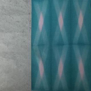 ¾ʪ顡Ȥ帤ʤꡡǬ2