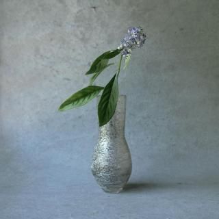 MARu Glassִ25_12_2
