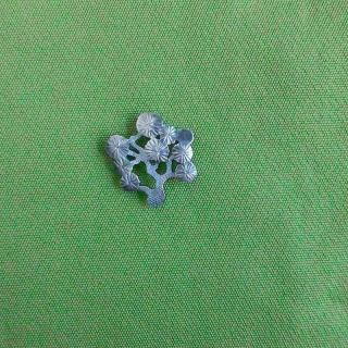 和田由記子　皿　プレート　ボタニカル 和田由記子 皿 プレート ボタニカル 【公式通販】