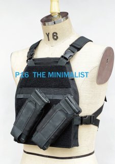 P16 THE MINIMALIST PLATE CARRIER<img class='new_mark_img2' src='https://img.shop-pro.jp/img/new/icons5.gif' style='border:none;display:inline;margin:0px;padding:0px;width:auto;' />