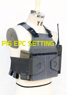 P16 PLATE CARRIER EPC SETTING