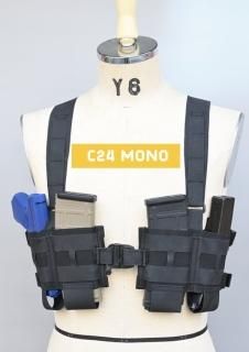 C24