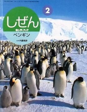 ペンギン キンダーブックしぜん 状態 C やや悪い 絵本専門の古本屋 えほにずむ ペンギン キンダーブックしぜん 状態 C やや悪い 絵本専門の古本屋 えほにずむ