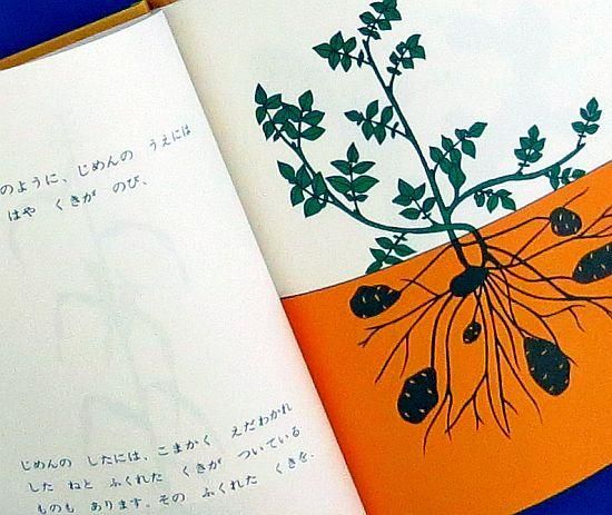 じめんのうえとじめんのした 【状態：A（良い）】 - 絵本専門の古本屋