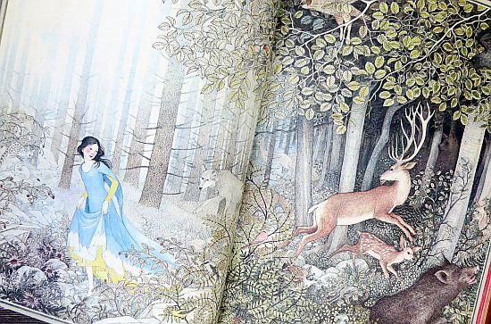 白雪姫と七人の小人たち 【状態:B(ふつう)】 - 絵本専門の 白雪姫と七人の小人たち 【状態:B(ふつう)】 - 絵本専門の