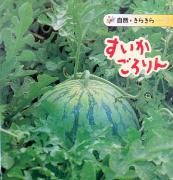 󡡡ʼ餭飹ˡھ֡BʤդĤˡ