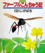 Фʥե֥뤳夦ˡ̲ʳܡ