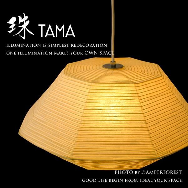 TAMA [] -  ëӹ