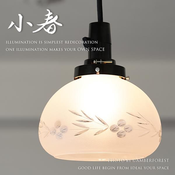  [5501/ڻһͤĶ] - ڥȥ饤