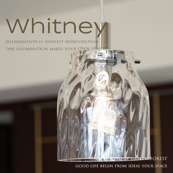 Whitney pendant lamp ڥȥ饤 S L