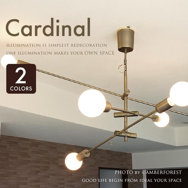 CARDINAL ǥʥ - DI CLASSE
