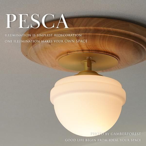 PESCA (TC-1066) - 󥰥饤