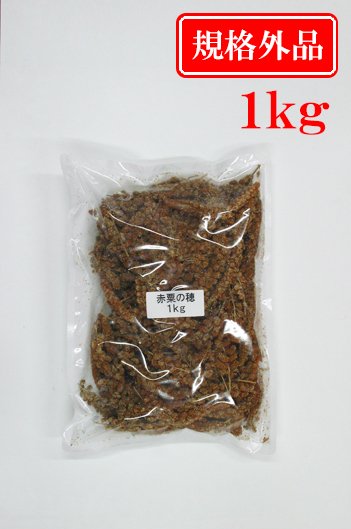 赤粟の穂 １ｋｇ【規格外品】 - 小鳥のフード・飼育用品の専門店 アウィス［avis］