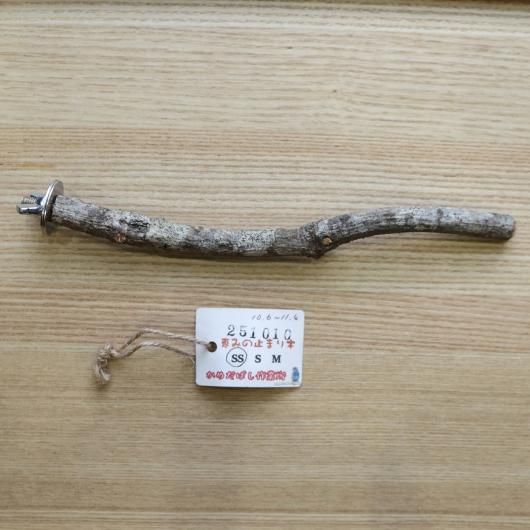 <img class='new_mark_img1' src='https://img.shop-pro.jp/img/new/icons15.gif' style='border:none;display:inline;margin:0px;padding:0px;width:auto;' />äߤλߤޤSS No.251010