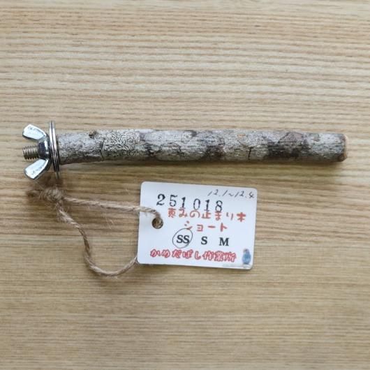 <img class='new_mark_img1' src='https://img.shop-pro.jp/img/new/icons15.gif' style='border:none;display:inline;margin:0px;padding:0px;width:auto;' />äߤΥ硼ȡSS No.251018