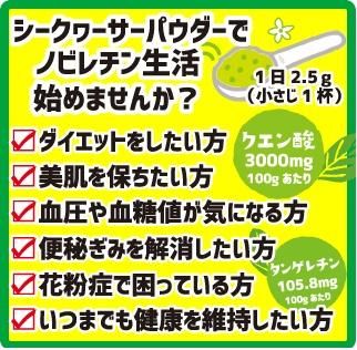 シークヮーサー果実まるごとパウダー 有限会社 渡具知 琉球薬膳 シークヮーサー果実まるごとパウダー 有限会社 渡具知 琉球薬膳
