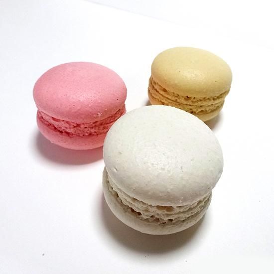 わんわんマカロン - わんこのおやつ工房 Le Ponta