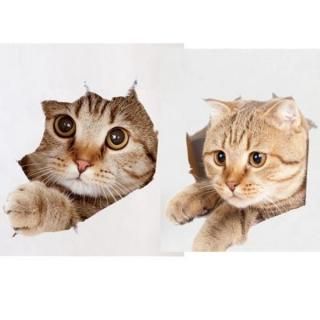 2祻å 륹ƥå ͤ 3D ȥ쥷 ưʪ Х롼 ɥ ؽ ش 襤 ǭ   ɥ٥