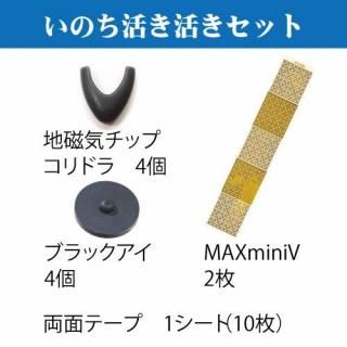 Τ褭褭å