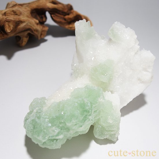 ꡼ե饤()Υ饹ʸСˤμ̿0 cute stone