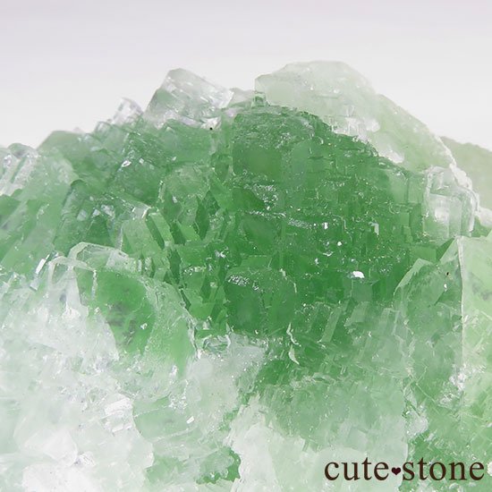 ꡼ե饤()Υ饹ʸСˤμ̿3 cute stone