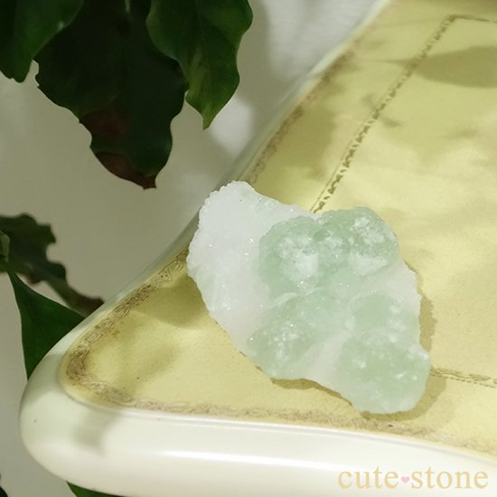 ꡼ե饤()Υ饹ʸСˤμ̿2 cute stone