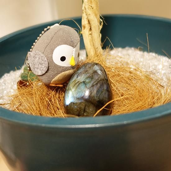 ラブラドライトの卵の写真1 cute stone