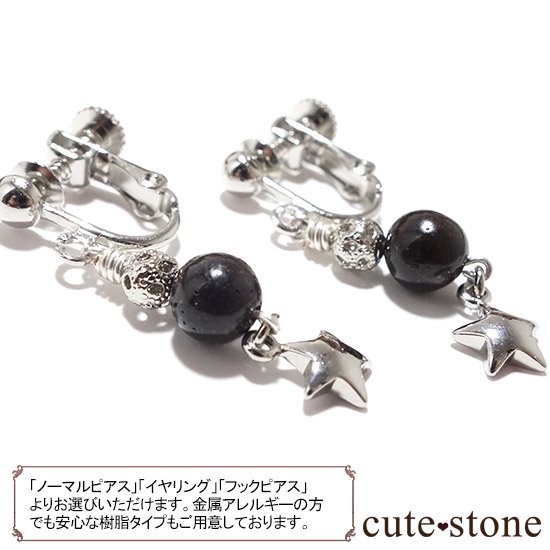 【小さな星の子】サハラNWA869(コンドライト隕石)を使ったピアス イヤリングの写真0 cute stone