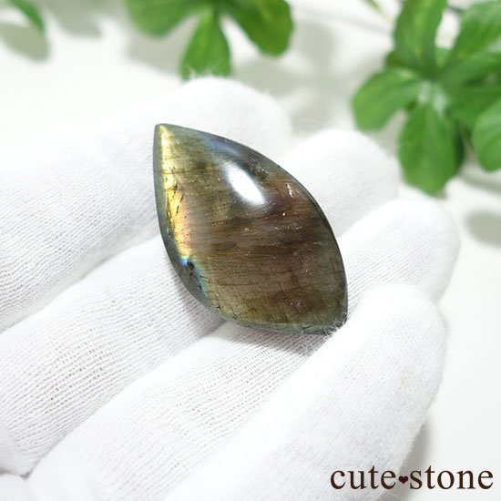 ޥ뻺֥ɥ饤 롼 Fμ̿1 cute stone