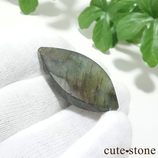 ޥ뻺֥ɥ饤 롼 Fμ̿2 cute stone