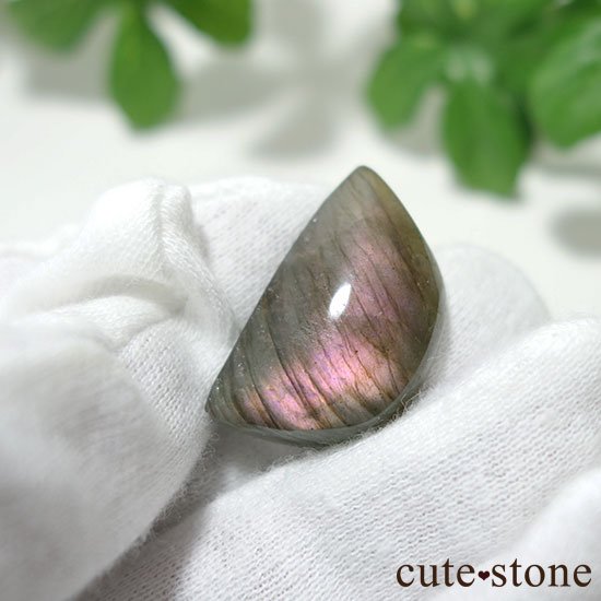 ޥ뻺֥ɥ饤 롼 Dμ̿0 cute stone