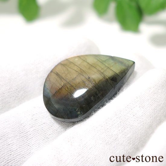 ޥ뻺֥ɥ饤 롼 Cμ̿1 cute stone