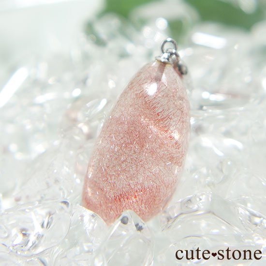 ե󻺥ȥ٥꡼ĤΥڥȥȥåפμ̿3 cute stone