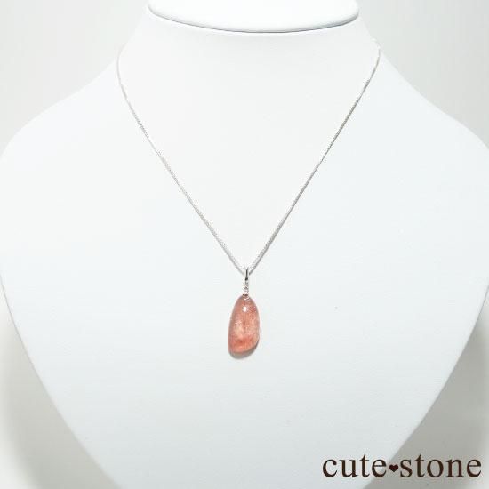 ե󻺥ȥ٥꡼ĤΥڥȥȥåפμ̿4 cute stone