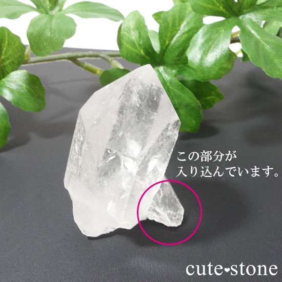 徽(ĥ󥯥) Bμ̿1 cute stone